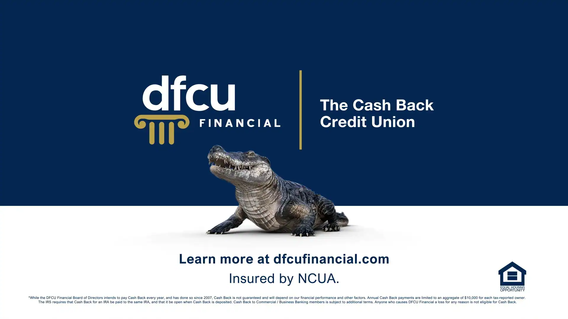 DFCU Financial - The Cash Back Credit Union "Gator" ad