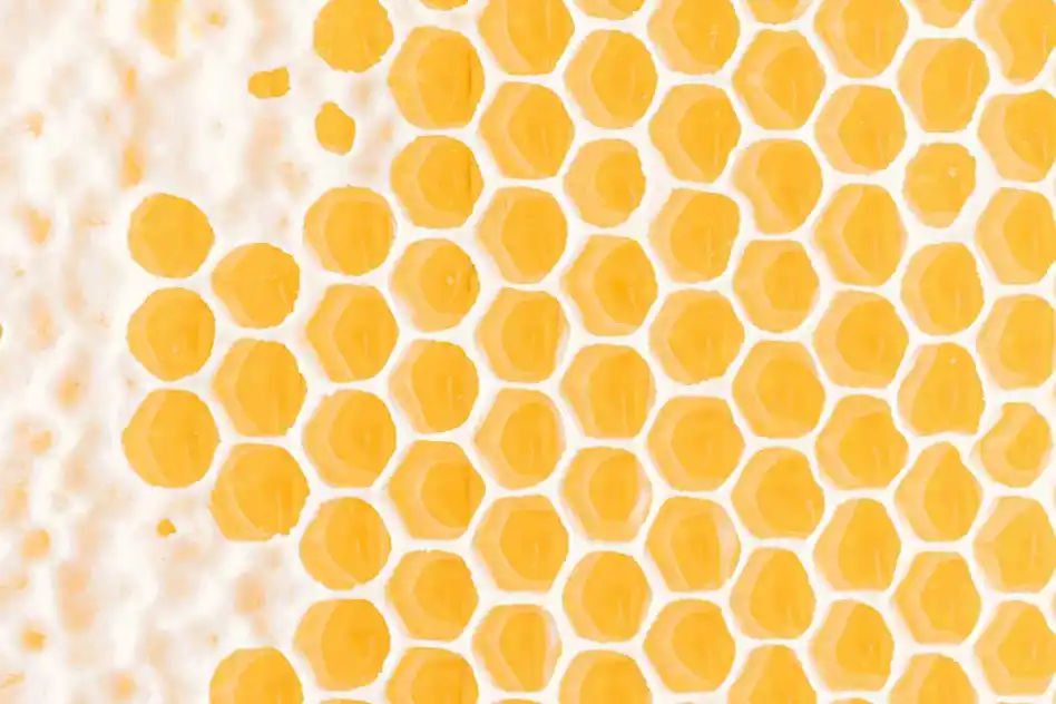 honeycomb