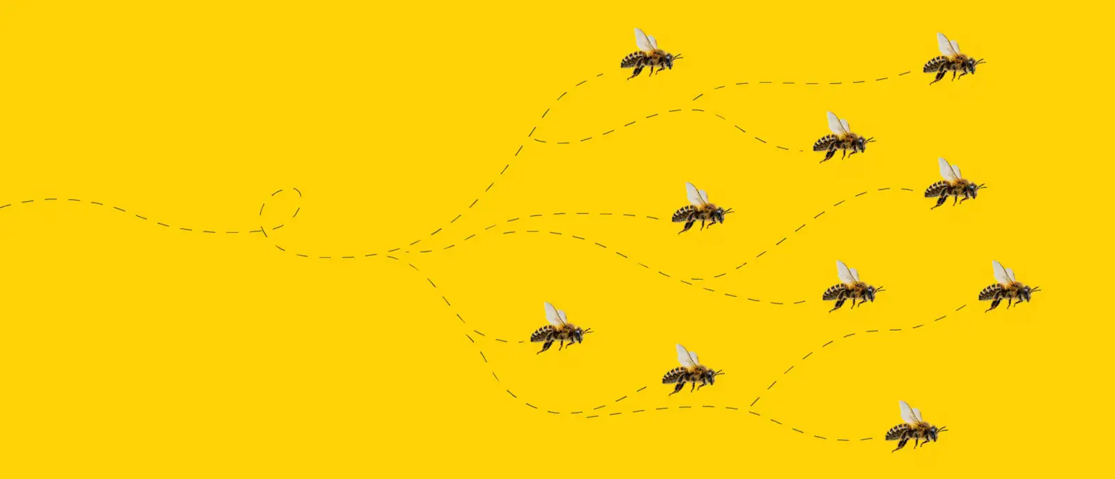 worker bees illustration